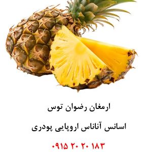 اسانس پودری آناناس اروپایی دلنسو، خوراکی و کاملاً حلال در آب، مناسب تولید پودر شربت، ژله، دسر، نوشیدنی‌های فوری، بستنی، پاستیل و سایر محصولات صنایع غذایی. بسته ۱ کیلوگرمی. سفارش: ۰۹۱۵۲۰۲۰۱۸۳ | ۰۵۱۳۷۲۳۴۶۰۶