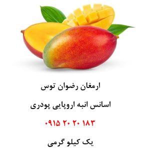 خرید اسانس انبه اروپایی خوراکی پودری دلنسو، حلال در آب و وارداتی از اروپا، مناسب تولید پودر شربت، ژله، نوشیدنی‌های پودری، بستنی