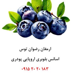 خرید اسانس بلوبری اروپایی خوراکی پودری دلنسو، حلال در آب و وارداتی از اروپا، مناسب تولید پودر شربت، ژله، نوشیدنی‌های فوری، بستنی، پاستیل، دسر