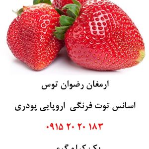 خرید اسانس توت فرنگی اروپایی خوراکی پودری دلنسو، وارداتی از اروپا و حلال در آب، مناسب تولید پودر شربت، ژله، نوشیدنی‌های فوری