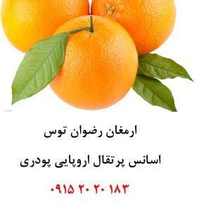 خرید اسانس پودری پرتقال خوراکی دلنسو، حلال در آب، وارداتی از ترکیه و اروپا، مناسب تولید پودر شربت، ژله، نوشیدنی‌های فوری، پاستیل، دسر و سایر محصولات صنایع غذایی