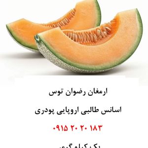 خرید اسانس طالبی اروپایی خوراکی پودری دلنسو، وارداتی از اروپا و حلال در آب، مناسب تولید پودر شربت، ژله، نوشیدنی‌های فوری، دسر، بستنی، پاستیل و سایر محصولات صنایع غذایی. بسته ۱ کیلوگرمی