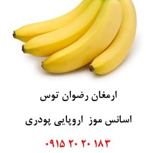 خرید اسانس موز اروپایی خوراکی پودری دلنسو، وارداتی از اروپا و کاملاً حلال در آب، مناسب تولید پودر شربت، ژله، نوشیدنی‌های فوری، بستنی